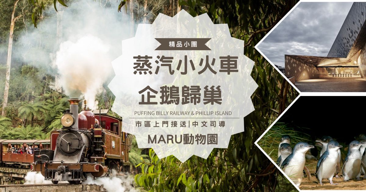 老墨旅遊 蒸汽小火車+企鵝歸巢一日遊