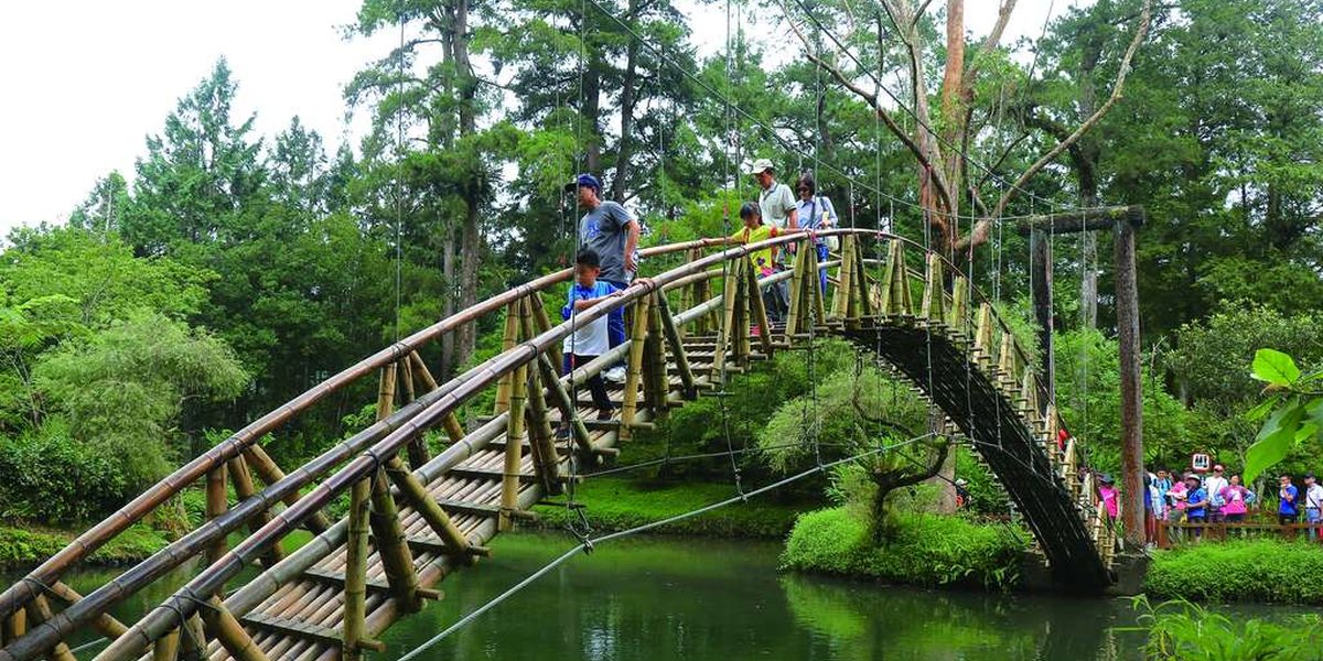 溪頭大學池竹橋